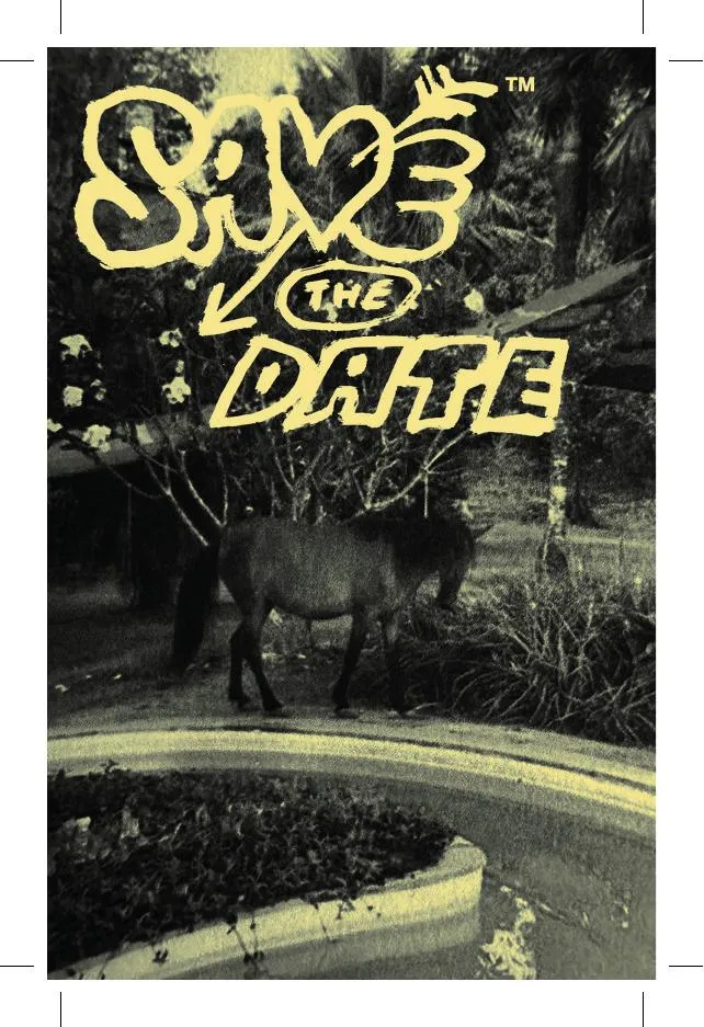 postal save the horse.pdf-1